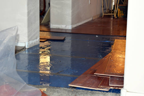 Professional Basement Flooding technician working in D'Iberville, MS